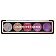 Profusion Eyeshadow Palette Paleta 5 cieni do powiek Amethyst Gems