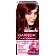 Garnier Color Sensation Krem koloryzujący do włosów 4.60 Intensywna ciemna czerwień