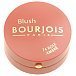 Bourjois Blush Róż 2,5g 74 Rose Ambré