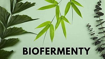 Biofermenty