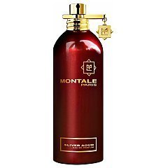 Montale Sliver Aoud 1/1