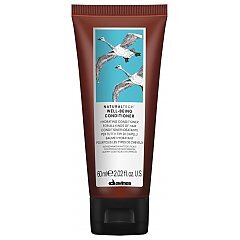 Davines Naturaltech Wellbeing Conditioner 1/1