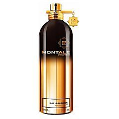 Montale So Amber 1/1