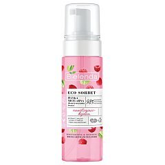 Bielenda Eco Sorbet Malina 1/1