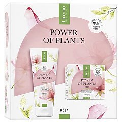 Lirene Power of Plants Róża 1/1