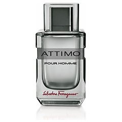 Salvatore Ferragamo Attimo Pour Homme 1/1