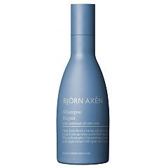 Björn Axén Repair Shampoo 1/1