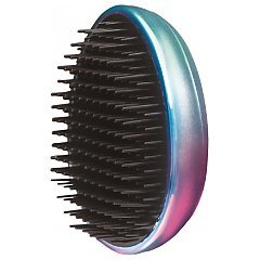 Inter-Vion Untangle Brush Glossy Ombre 1/1