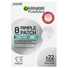 Garnier Pure Active 1/1