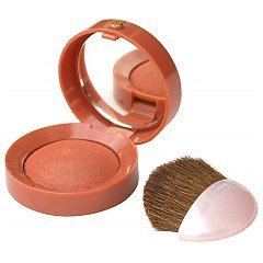 Bourjois Blush 1/1