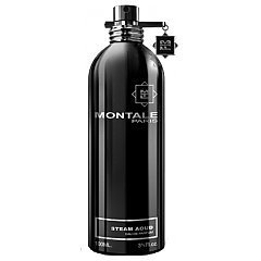 Montale Steam Aoud 1/1
