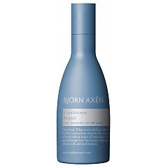 Björn Axén Repair Conditioner 1/1