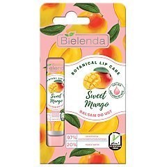 Bielenda Botanical Lip Care 1/1