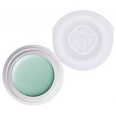 Shiseido Paperlight Cream Eye Color 1/1