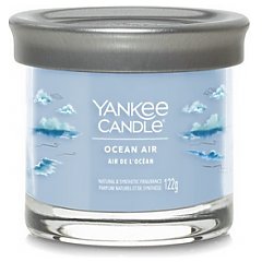 Yankee Candle 1/1