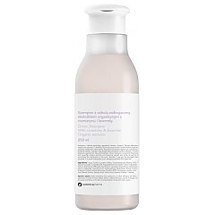 Botanicapharma Onion Shampoo 1/1