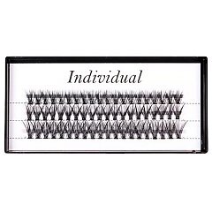 INDIVIDUAL 1/1