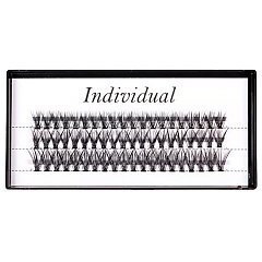 INDIVIDUAL 1/1