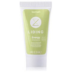 Kemon Liding Energy Shampoo 1/1