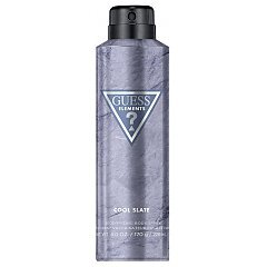 Guess Elements Cool Slate 1/1
