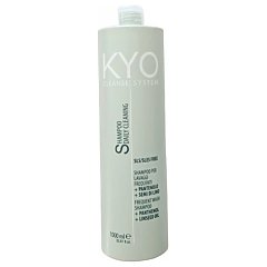 KYO Cleanse System Shampoo Daily Cleaning 1/1