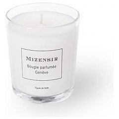 Mizensir Figuier de Sicile 1/1