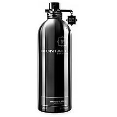 Montale Aoud Lime 1/1