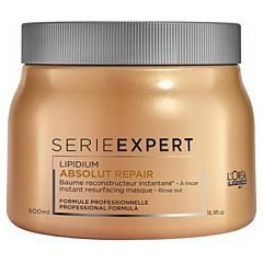 L'Oreal Professionnel Serie Expert Lipidium Absolut Repair Masque 1/1