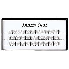 INDIVIDUAL 1/1