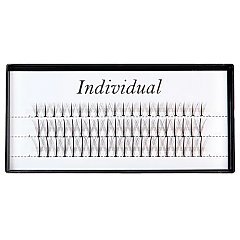 INDIVIDUAL 1/1