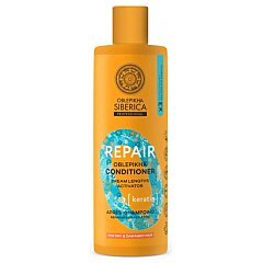 Natura Siberica Professional Oblepikha Conditioner 1/1