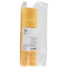 Peggy Sage Cellulose Sponge 1/1