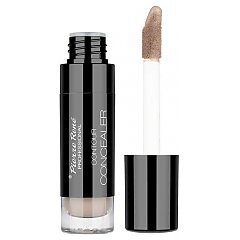 Pierre Rene Contour Concealer 1/1