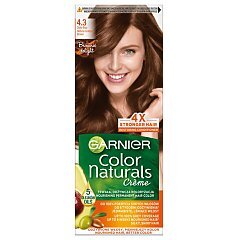 Garnier Color Naturals 1/1