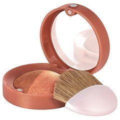 Bourjois Le Duo Blush 1/1