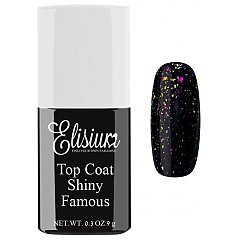 Elisium Top Coat Shiny 1/1