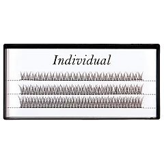 INDIVIDUAL 1/1