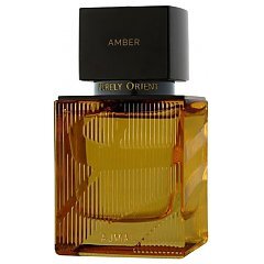 Ajmal Amber 1/1