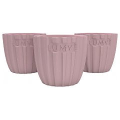 Lumye 1/1
