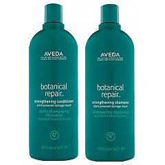 Aveda Botanical Repair 1/1