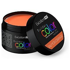 Excellent PRO Builder Color With Thixotropy 1/1