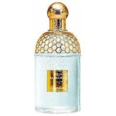 Guerlain Aqua Allegoria Teazzurra 1/1