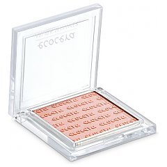 Ecocera Shimmer Powder 1/1