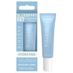 Biovene Blueberry Lip Boost Treatment 1/1