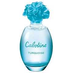 Gres Cabotine Turquoise 1/1