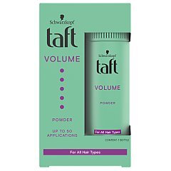 Taft Volume Powder 1/1