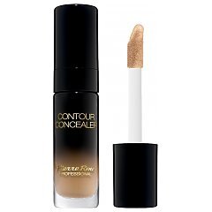 Pierre Rene Contour Concealer 1/1