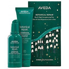 Aveda Botanical Repair 1/1