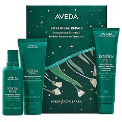 Aveda Botanical Repair 1/1