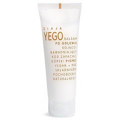 Ziaja Yego 1/1